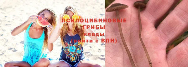 соль курить ск Володарск