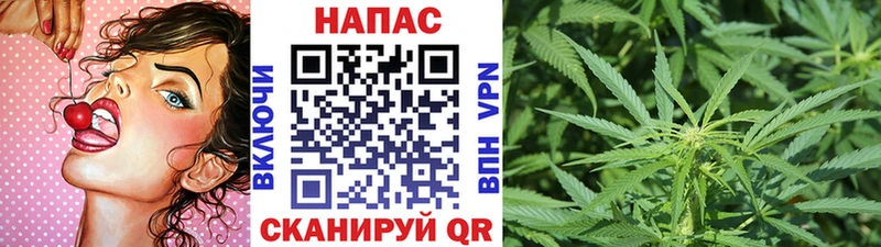 Шишки марихуана сатива  Ангарск 